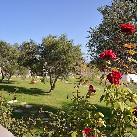 Alexandra'S Garden Houses Stalos Bagian luar foto